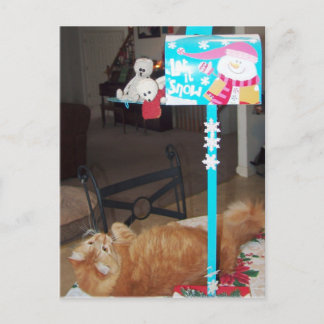 Franscious and Lennart Postcards