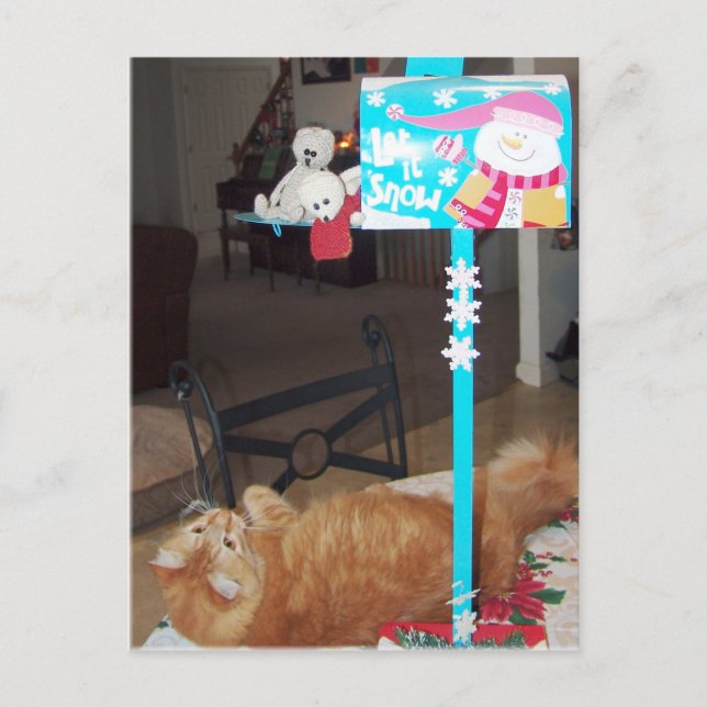 Franscious and Lennart Postcards (Front)