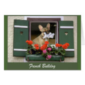Französische Bulldogge Grußkarte (Front Horizontal)