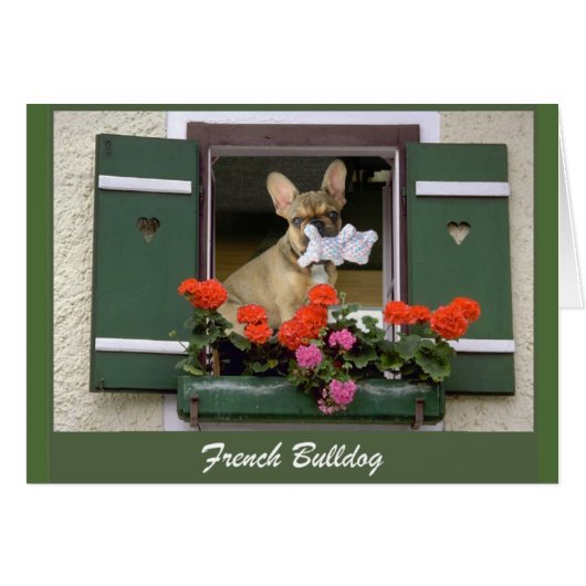 Französische Bulldogge Grußkarte (Front Horizontal)