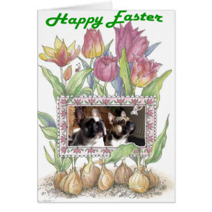 Französische Bulldogge Grußkarte Ostern Cards