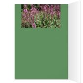 Französische Bulldogge Grußkarten (Inside (Left))