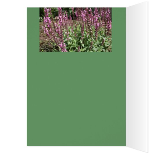 Französische Bulldogge Grußkarten (Inside (Left))