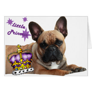 Französische Bulldogge Karte