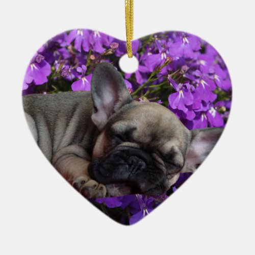 Franzsische Bulldogge Ornament