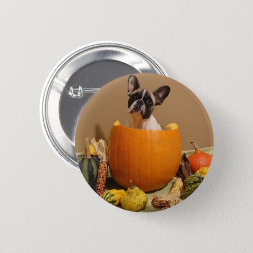 Franzsische_Bulldogge Sticker Button Halloween