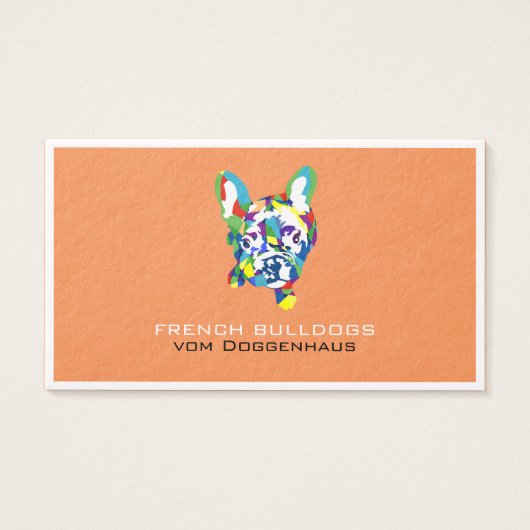 Französische Bulldogge Welpe (Front)