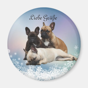 Französische Bulldoggen Magnet