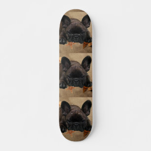 Französische Bulldoggen Skateboard