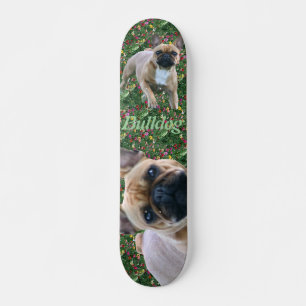 Französische Bulldoggen Skateboard Deck