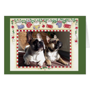 Französische Bulldoggen Weihnachts Grußkarte Cards