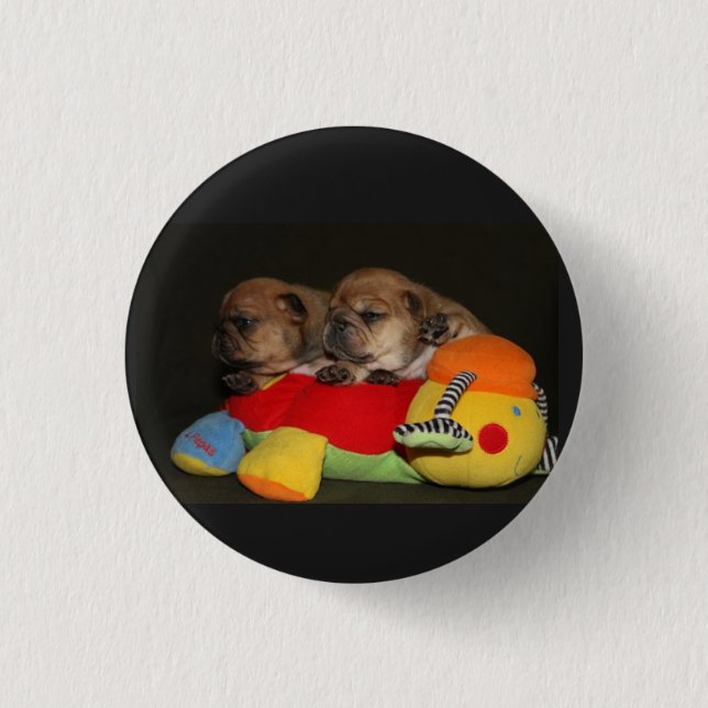 Französische Bulldoggen Welpen Button (Front)