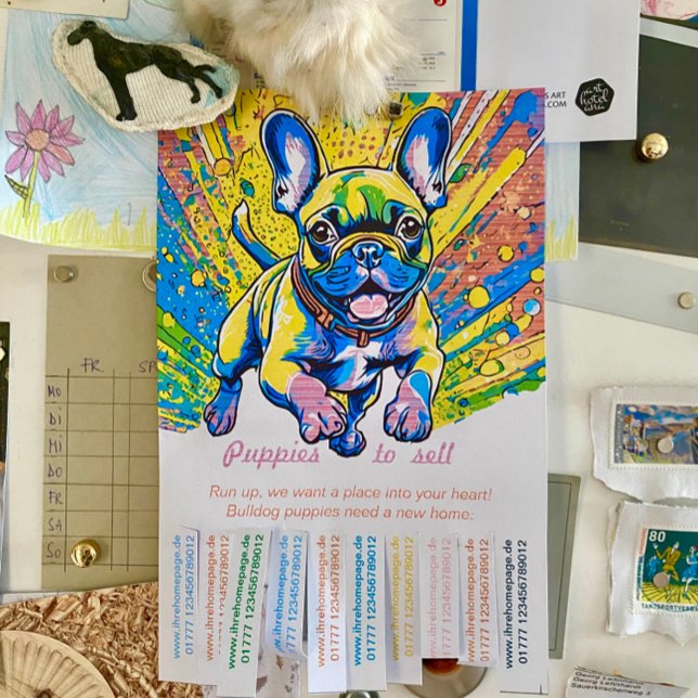 Französische Bulldoggen Welpen zu verkaufen Flyer (Creator Uploaded)