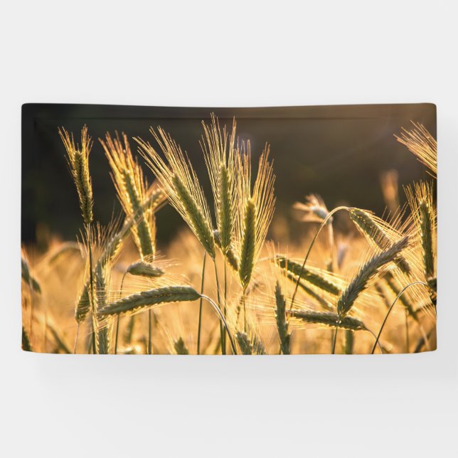 Frarm Fresh Wheat Field Banner (Horizontal)