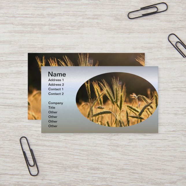 Frarm Fresh Wheat Field Business Card (Front/Back In Situ)