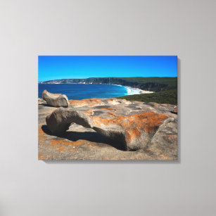 Fraser Island coast scenic landscape Australia Canvas Print