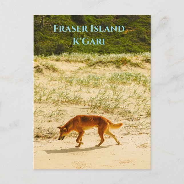 Fraser Island / K'Gari Postcard (Front)