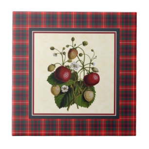 Fraser of Lovat Modern Tartan with Strawberry Tile