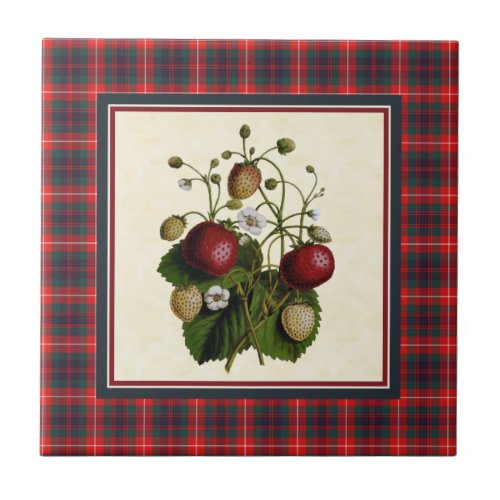 Fraser of Lovat Modern Tartan with Strawberry Tile