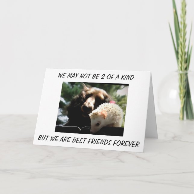 "FRATERNAL TWINS" WE ARE BEST FRIENDS FOREVER CARD (Front)
