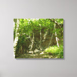 Frazier Discovery Trail at Shenandoah Photography Canvas Print