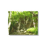 Frazier Discovery Trail at Shenandoah Photography Canvas Print