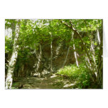 Frazier Discovery Trail at Shenandoah Photography Cards