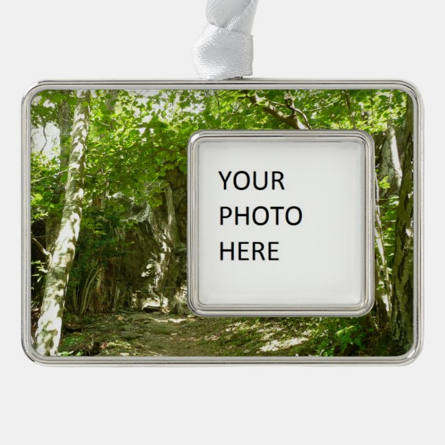 Frazier Discovery Trail at Shenandoah Photography Christmas Ornament (Front)