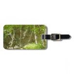 Frazier Discovery Trail at Shenandoah Photography Luggage Tag