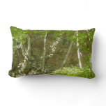 Frazier Discovery Trail at Shenandoah Photography Lumbar Pillow