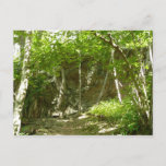 Frazier Discovery Trail at Shenandoah Photography Postcard