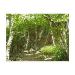 Frazier Discovery Trail at Shenandoah Photography Postcard