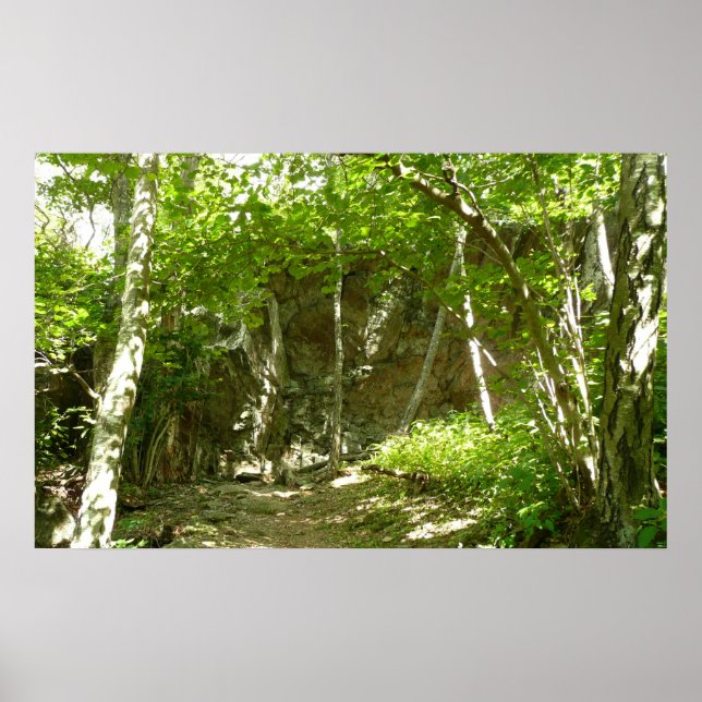 Frazier Discovery Trail at Shenandoah Photography Poster (Front)