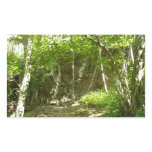 Frazier Discovery Trail at Shenandoah Photography Rectangular Sticker