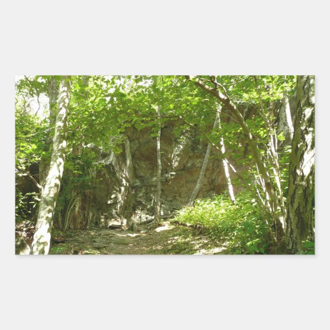 Frazier Discovery Trail at Shenandoah Photography Rectangular Sticker (Front)