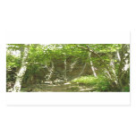 Frazier Discovery Trail at Shenandoah Photography Rectangular Sticker