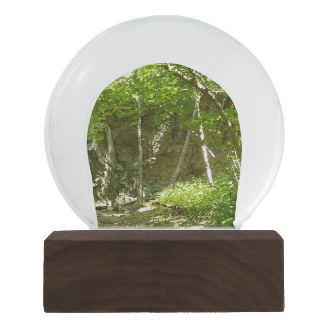 Frazier Discovery Trail at Shenandoah Photography Snow Globe (Front)