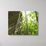 Frazier Rock Wall in Shenandoah National Park Canvas Print