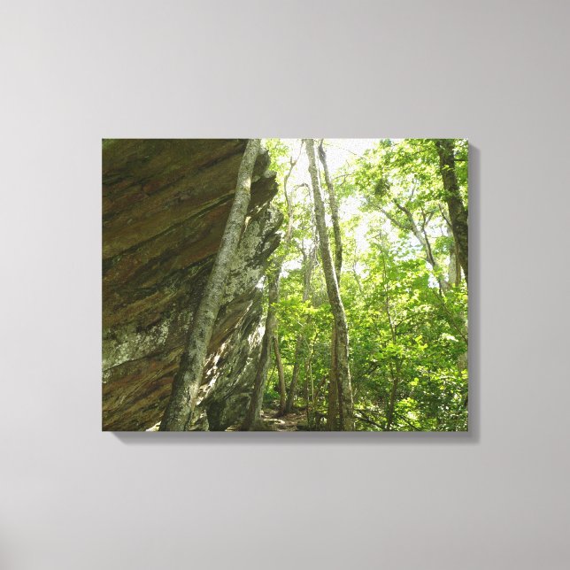 Frazier Rock Wall in Shenandoah National Park Canvas Print (Front)