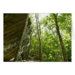 Frazier Rock Wall in Shenandoah National Park Cards