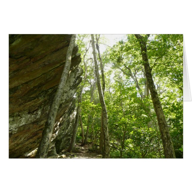 Frazier Rock Wall in Shenandoah National Park Cards (Front Horizontal)