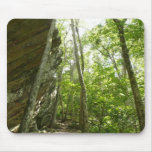 Frazier Rock Wall in Shenandoah National Park Mouse Pad