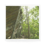 Frazier Rock Wall in Shenandoah National Park Napkins
