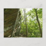 Frazier Rock Wall in Shenandoah National Park Postcard