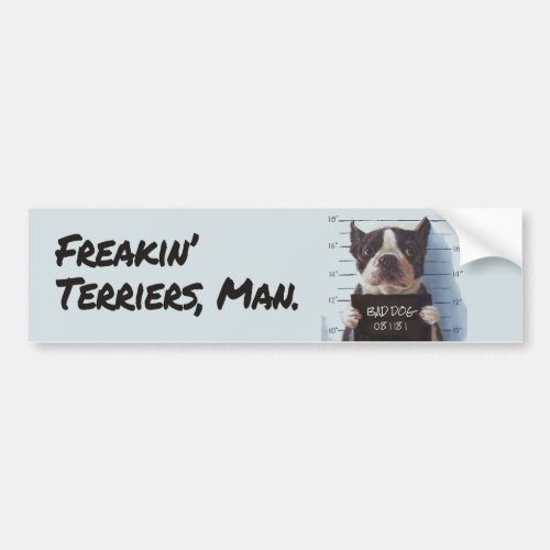 Freakin Terriers Man Bumper Sticker