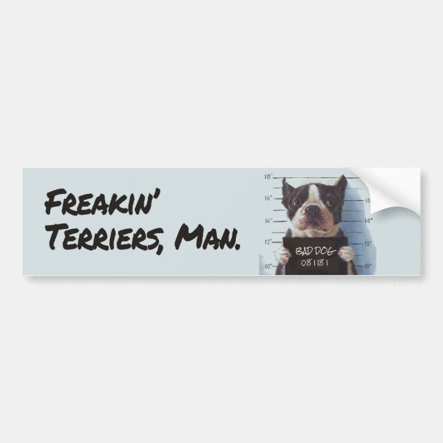 Freakin' Terriers, Man. Bumper Sticker (Front)