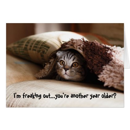 Freaking Out Kitten Cat Birthday Card