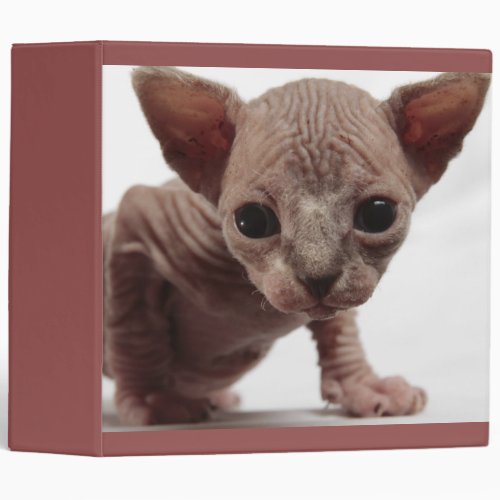 Freaky Cute Furless Sphynx Kitten Binder