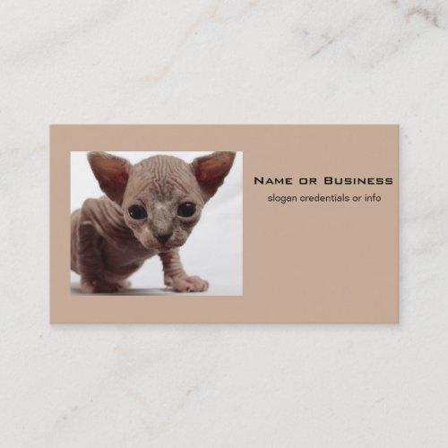 Freaky Cute Furless Sphynx Kitten Business Card