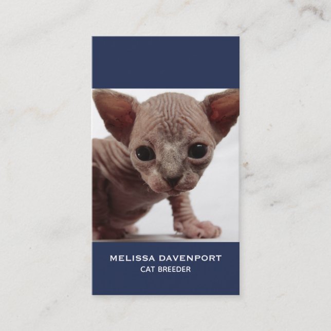Freaky Cute Furless Sphynx Kitten Business Card (Front)
